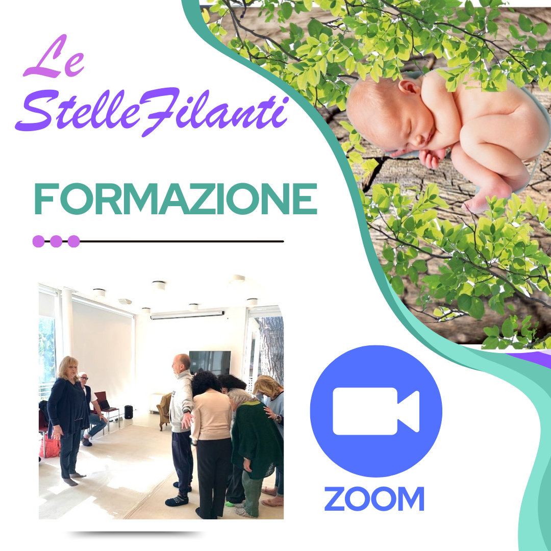 La Formazione delle StelleFilanti